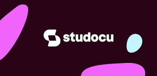 STUDOCU PREMIUM UN MES📚